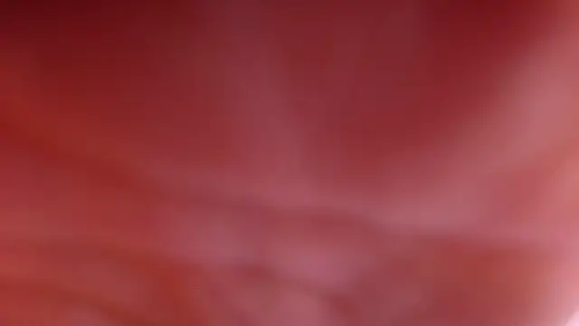 violett lo online show from February 28, 3:06 am