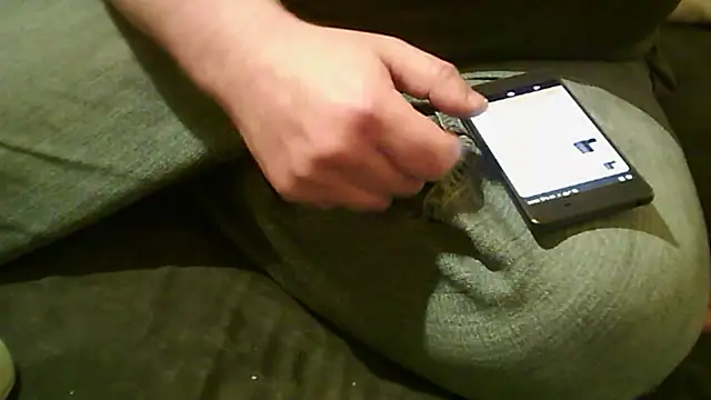 vimilili online show from October 31, 7:54 pm