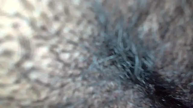 white sexy  online show from November 17, 10:41 am