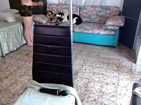 danasantoreal online show from November 26, 8:58 am