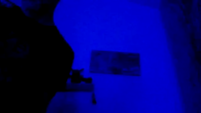 El Gizmo online show from February 28, 10:59 am