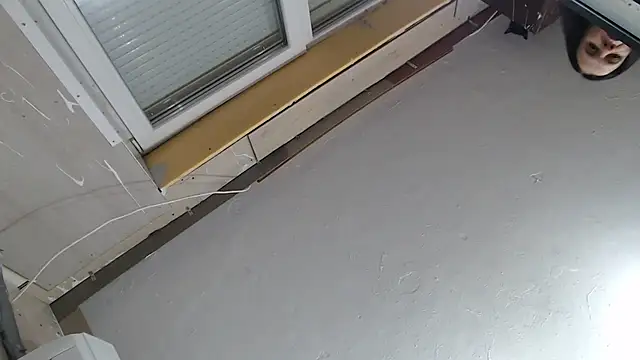 Snapshot of CRISTIINA37 chatting on December 1, 3:24 pm CRISTIINA37 online show from December 1, 3:24 pm