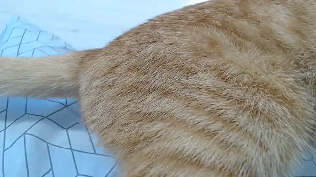 Snapshot of CRISTIINA37 chatting on November 6, 11:58 am CRISTIINA37 online show from November 6, 11:58 am