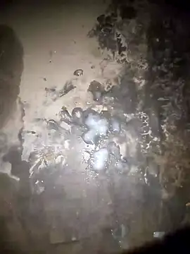 Snapshot of Rahul_sharma_horny chatting on December 28, 3:59 pm Rahul sharma horny online show from December 28, 3:59 pm