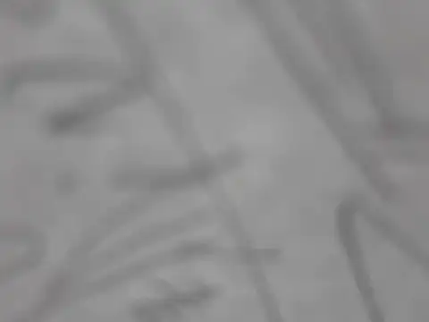 Snapshot of shikokichi55 chatting on March 3, 3:00 pm shikokichi55 online show from March 3, 3:00 pm