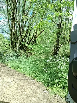 pachapeter online show from April 16, 1:12 pm