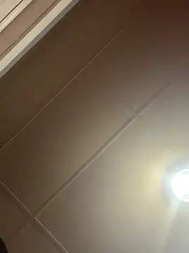 Snapshot of Papinine6 chatting on April 7, 1:46 pm Papinine6 online show from April 7, 1:46 pm