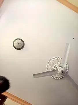 zainabsmile online show from October 10, 9:54 am