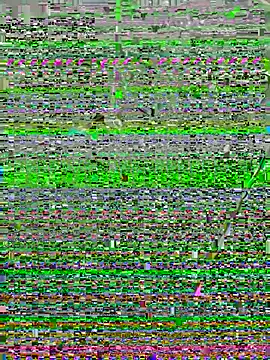 Snapshot of perolanegra22 chatting on December 16, 3:19 am perolanegra22 online show from December 16, 3:19 am