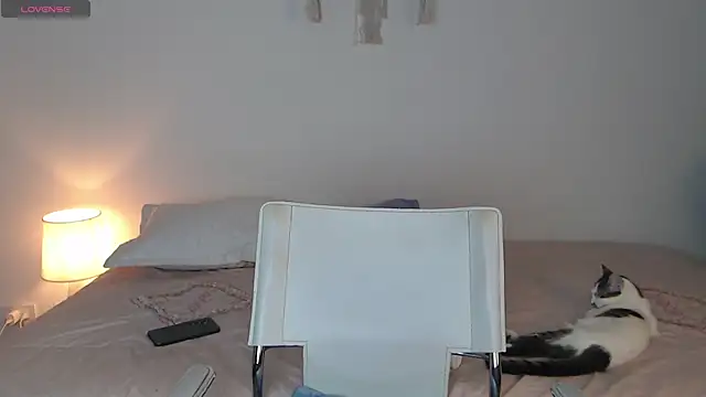 Abii 26 online show from November 8, 3:10 am