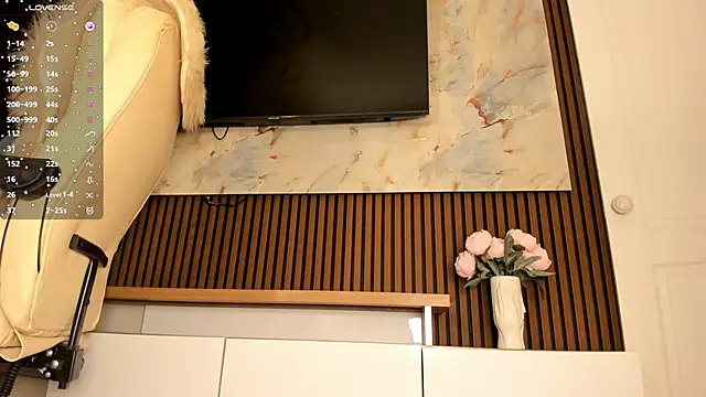 sally 009 online show from January 7, 3:44 am