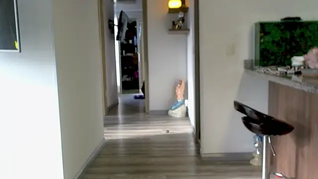 adan eva960 online show from September 10, 12:26 pm