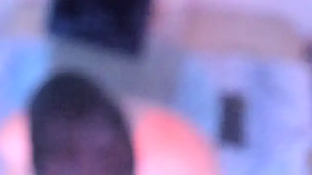 stillwild online show from December 14, 10:21 am