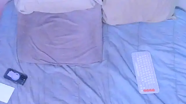 stillwild online show from March 12, 11:14 am