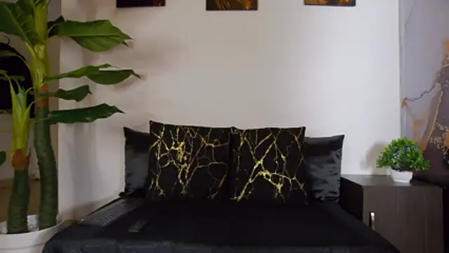 alex noa online show from February 14, 7:25 pm