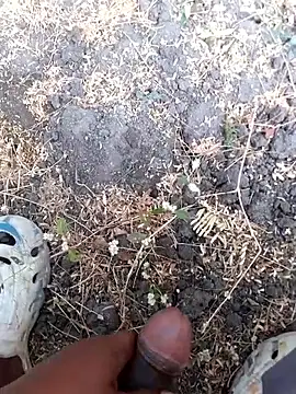 Ajith mvi online show from March 14, 2:06 am