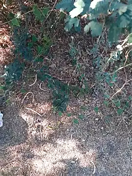 Ajith mvi online show from March 26, 11:08 am