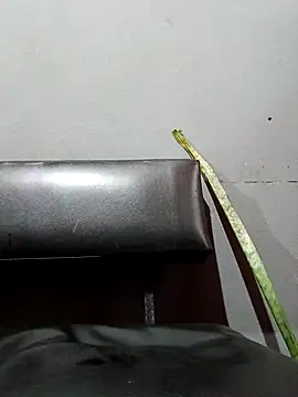 Snapshot of Furao692002 chatting on November 14, 3:21 am Furao692002 online show from November 14, 3:21 am