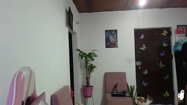 littleangel1 m online show from February 2, 1:04 am