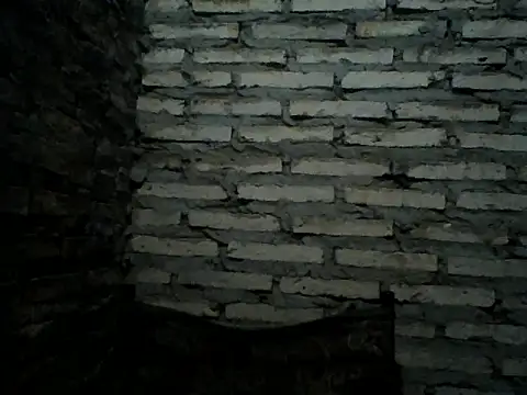 Snapshot of Rodrigo_happy chatting on December 14, 3:02 am Rodrigo happy online show from December 14, 3:02 am