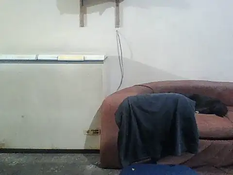 Rodrigo happy online show from November 25, 5:41 am