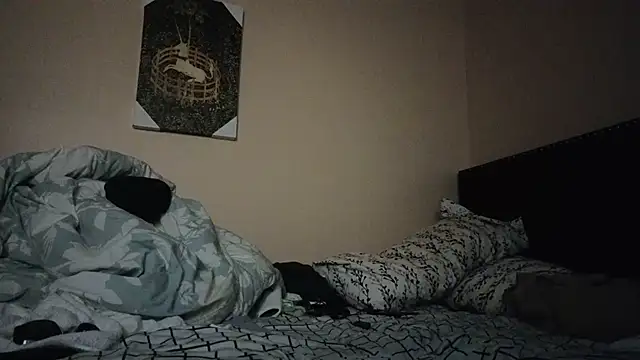 Snapshot of hailzeffn chatting on November 7, 9:25 am hailzeffn online show from November 7, 9:25 am