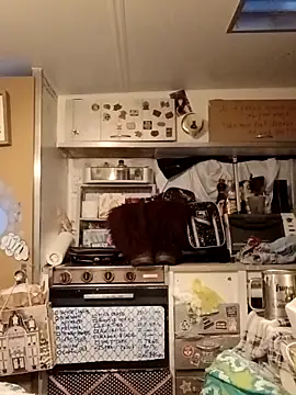 whitetrashdirtyslut online show from March 18, 1:13 pm