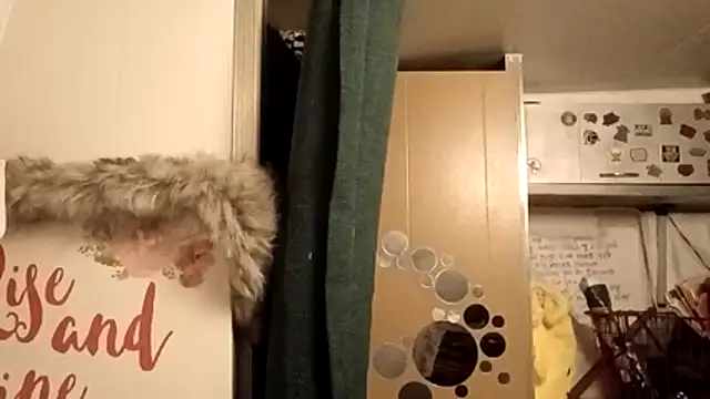 whitetrashdirtyslut online show from February 25, 12:16 pm