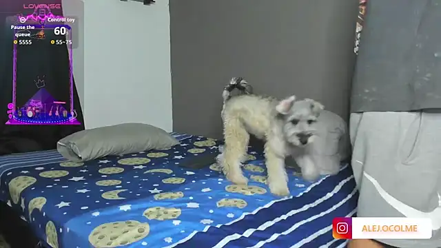 Snapshot of jacob_firexx chatting on July 2, 3:23 am jacob firexx online show from July 2, 3:23 am