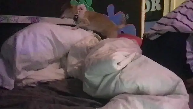 Snapshot of watermellonpussy chatting on December 23, 11:06 pm watermellonpussy online show from December 23, 11:06 pm