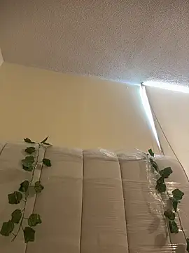 Megan Rodrigo online show from March 13, 2:11 pm