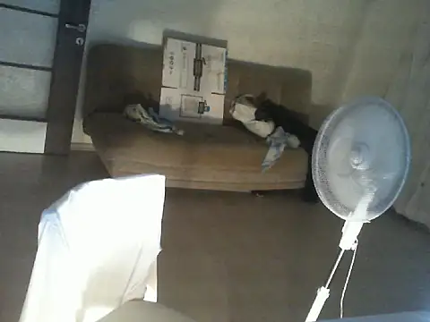 Snapshot of thekeys chatting on July 12, 9:04 pm thekeys online show from July 12, 9:04 pm