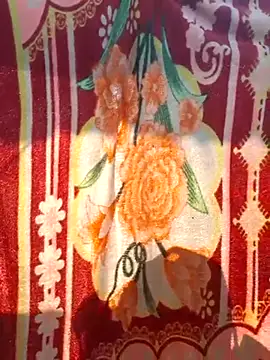 Snapshot of Burhade-- chatting on January 5, 9:48 am Burhade-- online show from January 5, 9:48 am