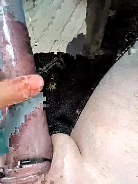 richa22cm online show from March 20, 1:34 pm