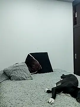 Mariam Gomezxxx online show from February 13, 12:32 am