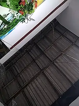 Nishii Girl online show from January 11, 12:12 pm