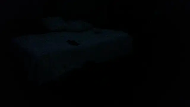 Snapshot of iBoneher69 chatting on November 30, 1:45 pm iBoneher69 online show from November 30, 1:45 pm