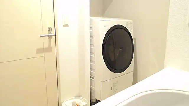 Snapshot of Kakushi_dori chatting on December 16, 5:00 pm Kakushi dori online show from December 16, 5:00 pm