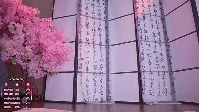 Marry Cordy online show from February 9, 2:20 am