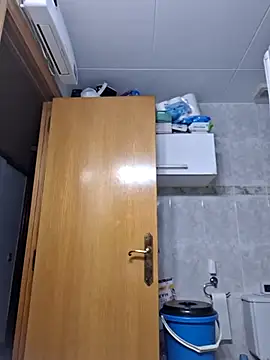 Javier bear online show from November 14, 2:10 pm