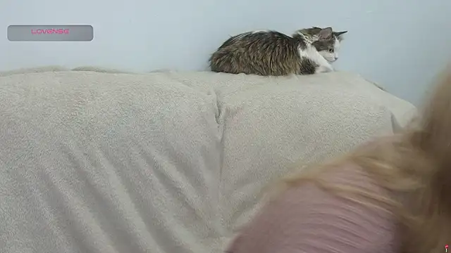 gertanord online show from February 21, 7:05 pm