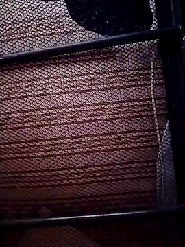 Luiz 097 online show from January 11, 7:26 am