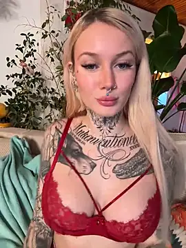 Snapshot of Stella-Kink chatting on February 12, 4:11 pm Stella-Kink online show from February 12, 4:11 pm