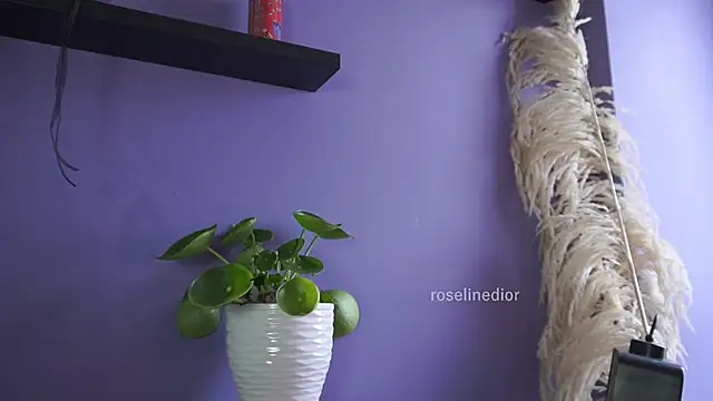 Snapshot of roselinedior chatting on May 20, 4:26 pm roselinedior online show from May 20, 4:26 pm