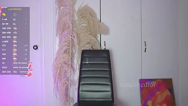 roselinedior online show from November 12, 11:52 pm