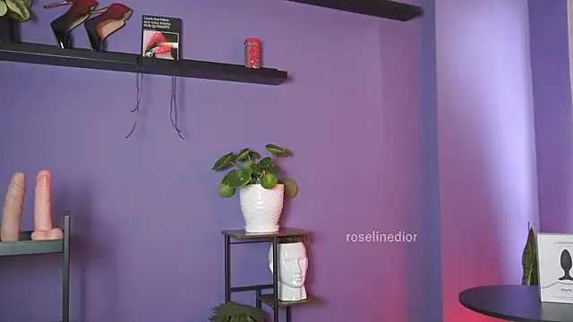 Snapshot of roselinedior chatting on May 19, 2:46 pm roselinedior online show from May 19, 2:46 pm
