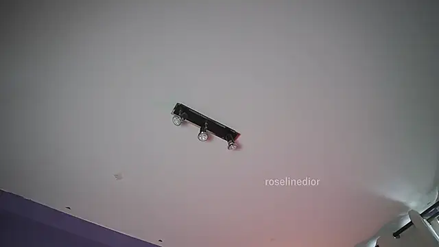 roselinedior online show from June 21, 7:08 pm