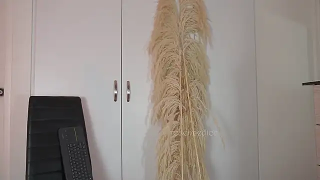 roselinedior online show from October 20, 2:17 pm