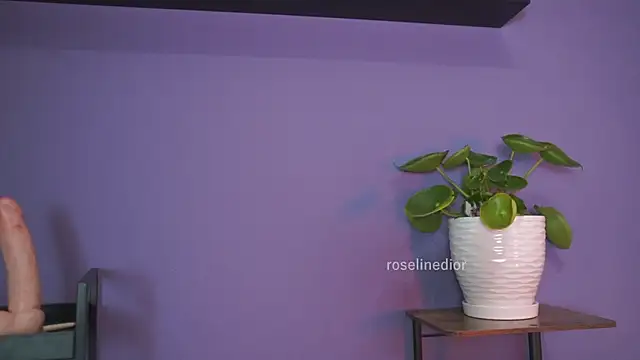 Snapshot of roselinedior chatting on May 26, 1:31 pm roselinedior online show from May 26, 1:31 pm