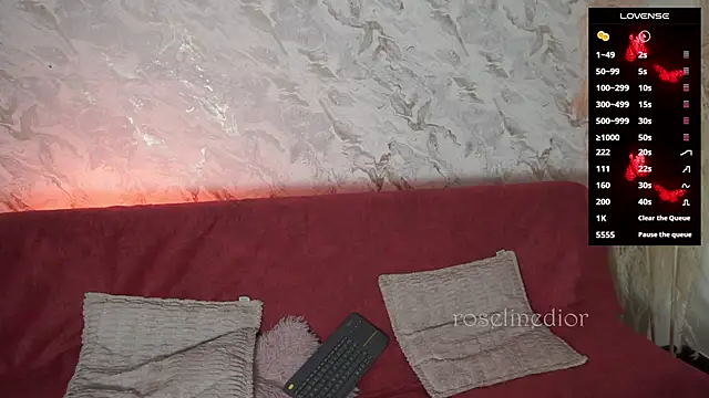 roselinedior online show from November 26, 1:33 pm